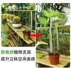 Fijador de Soporte para Monstera Resorte Anti-Inclinación Soporte de Pluma Fijación de Rama Hidropónica Macetero Estante Jardinería Florales y Plantas Verdes