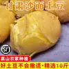 Batatas de Gansu Dingxi 4,5kg Frete Grátis 2025 Recém-Colhidas Amarelas de Miolo Arenosas Batatas Inteiras Caixa Completa Cultivadas na Fazenda 3