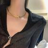Collar de Cadena de Espiga de Acero de Titanio que No se Desvanece para Mujer, Simple Ins Estilo Trendy Cool Dulce y Cool Accesorio de Cuello Cadena para Clavícula Geométrico