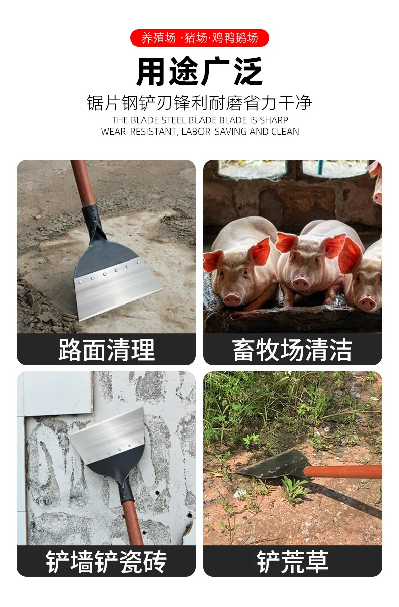 2 拷贝.jpg