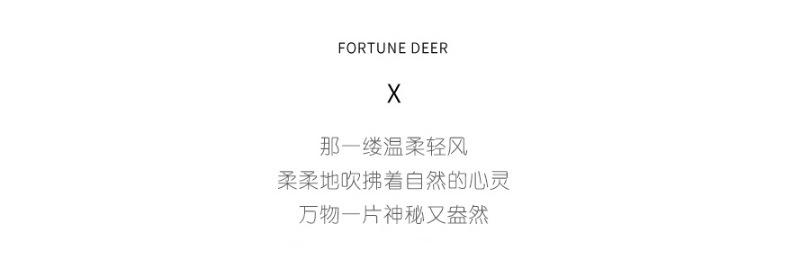 多功能_02.jpg