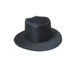 Chapéu de Bruxo Harry Potter Chapéu Seletor de Hogwarts Chapéu Mágico Fantasia Festa Adereços Mágicos Halloween