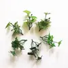 Plástico Cinco Pontas Rabanete Verde Folha de Lótus Artificial Flor Planta Verde Pequena Flor Artificial Ornamento Rochedo Interno Micro Paisagem Adereços