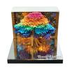 Árbol de Regalos Culturales Creativos Transfronterizos Escultura de Papel Casa del Árbol Calendario Decoración de Escritorio de Oficina Bloc de Notas Estéreo 3D