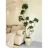 Madera de Pata de Pato Jingpin Haihong Simulación Planta Verde Interior Biónica Maceta Alto Nivel Lujo Ligero Sala de Estar Planta Falsa Grande de Piso