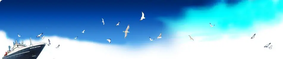 banner_13