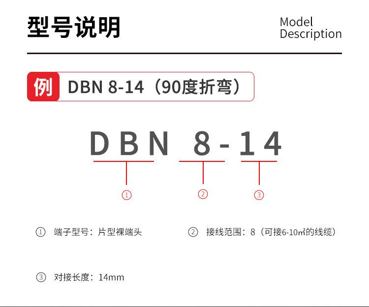 DBN详情_06