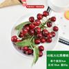 Simulação de corda de longan de fruta, falsa lichia, bayberry, cereja, modelo de corda de frutas, loja de frutas, fazenda, supermercado, roupa