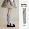 Meias Infantis Estilo Coreano, Meias Longas de Cor Sólida com Laço para Bebês, Meias de Meia-Panturrilha para Roupa de Pequena Princesa, Primavera, Malha Dupla