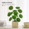 Planta de simulación, decoración nórdica, pequeña planta en maceta, oficina, sala de estar, escritorio, decoración de bonsái de interior, flor falsa biónica, planta verde