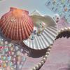 Tomoni Calcomanías para Uñas Jelly Pequeñas Frescas Grasas Peces Marinos Pequeños Joyería Calcomanías Oceánicas Calcomanías para Uñas Material