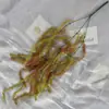Grama artificial macia de borracha para montagem na parede, grama de peixe dourado, para sala de estar interna, decoração de mesa de jantar, decoração de teto de casamento e outros fins decorativos
