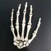 Calavera Garra Halloween Accesorios de Broma Esqueleto Garra Bar Cámara de Escape Fantasma de Terror Mano Fábrica Venta al por Mayor