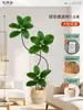 Plantas Verdes Artificiais de Alta Qualidade para Decoração de Sala de Estar, Planta Realista Falsa de Figueira-da-Índia Preta para Decoração de Sala de Transmissão ao Vivo