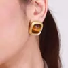 Pendientes de Acero de Titanio Europeos y Americanos Jieding Pendientes Lujo Ligero Gama Alta Pendientes de Piedra Ojo de Tigre Pendientes de Otoño e Invierno Joyería Transfronteriza