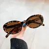 Nuevas Gafas de Sol con Montura de Estampado de Leopardo para Mujer, Gafas de Sol Ojo de Gato de Sensación de Alta Gama, Gafas de Sol Populares en Internet Europeas y Americanas, Gafas de Sol Retro