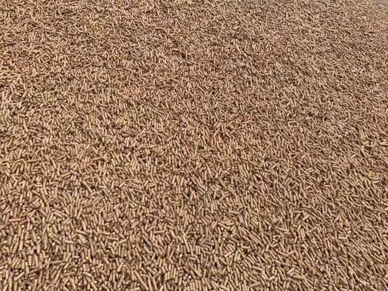 35e3403e38dc3b87690d714e4df372