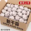 Cabezas de Ajo Seco Nuevas de Shandong, Ajo Grande de Piel Morada, Ingredientes Condimentos para Verduras de Cocina, Condimentos Secos al por Mayor