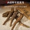 Scutellaria Baicalensis Marchita, Raíz de Camelia Silvestre de Mongolia Interior, Tiras de Raíz de Té Dorado del Suelo, Lingzi Ling, Kuling Kuiling, Auténticos Materiales Medicinales Chinos, y Coptis Chinensis