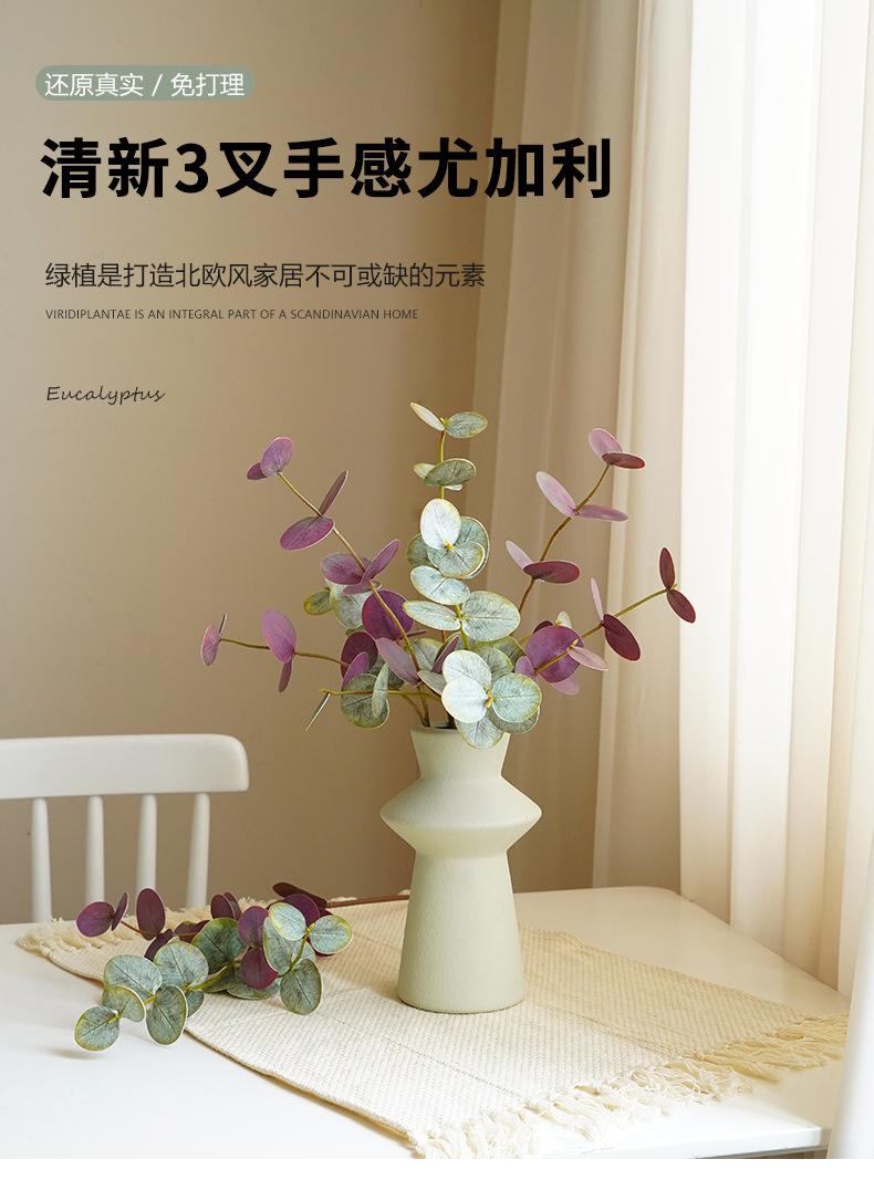 清新3叉手感尤加利_01.jpg