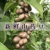 Enviado directamente desde la granja, ñame de varilla de hierro fresco de 3 cm, cultivado en China continental, al por mayor