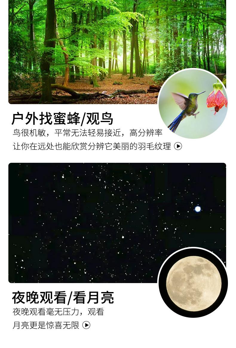 详情_13