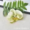 Flor de Orquídea Phalaenopsis Cabeça de Flor Simulação de Filme Impressa em 3D Flor Artificial Lembrancinhas de Festa de Casamento Decoração de Caixa de Doces Acessório de Cabeça DIY Presilha de Cabelo
