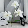 Lírios Brancos Pequenos Flor Artificial Impressa em 3D Simulada para Decoração de Casamento, Decoração de Casa e Atacado de Comércio Exterior Lírios Falsos