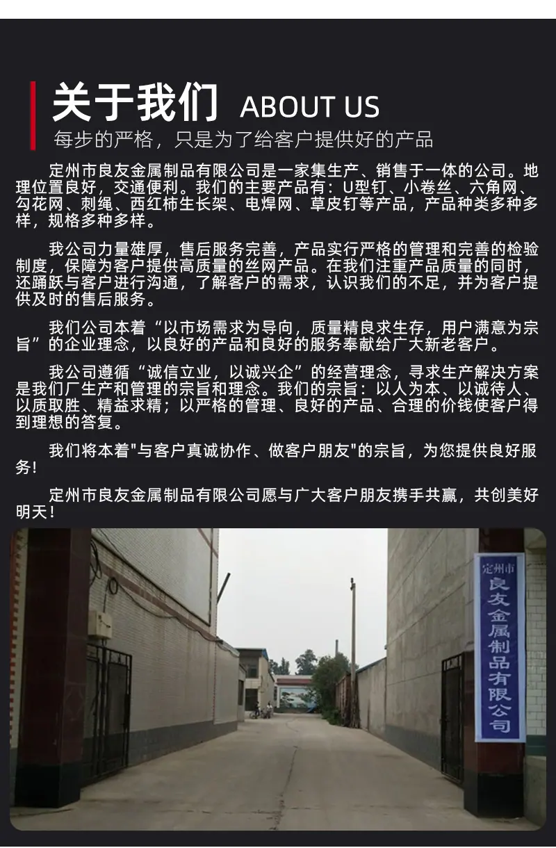 六角网_10.jpg