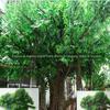 Fornecimento de fábrica coluna de simulação Banyan grande cimento Banyan simulação Banyan paisagem Banyan árvore banyan antiga