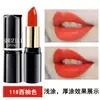 Labial de Rendimiento Escénico Que No Se Desvanece Fácilmente, Es Impermeable, de Larga Duración y Aclara el Cutis, Adecuado para Estudiantes, Disponible para Venta al por Mayor y Dropshipping