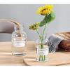 Envío Gratis Jarrón Pequeño de Vidrio Lujo Accesible Gama Alta Celebridad de Internet Arreglo Floral Japonés Botella Marrón para Reactivos Decoración Hidropónica de Escritorio