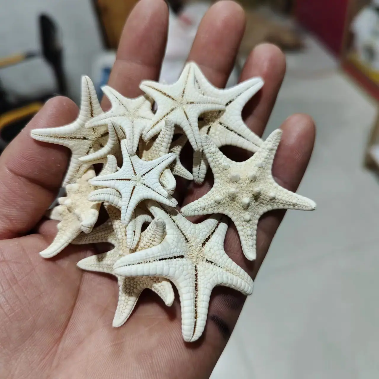 微信图片_20220612160911