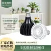 Lámpara Solar de Espectro Completo Tipo Tira Cob Luz Par para Crecimiento de Plantas Verdes, Flores y Suculentas Luz Par Iluminación Suplementaria Interior