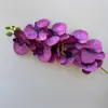 Orquídea Phalaenopsis Artificial Adereços Únicos para Fotografia Flores Artificiais Flores de Casamento Transfronteiriço Pode Ser Enviado Flores Artificiais Flores de Chão para Casamento