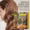 Esencia Fortalecedora del Cabello de Jengibre Kormesic Mascarilla Capilar Rey Jengibre Viejo Champú Fortalecedor Hidratante del Cabello
