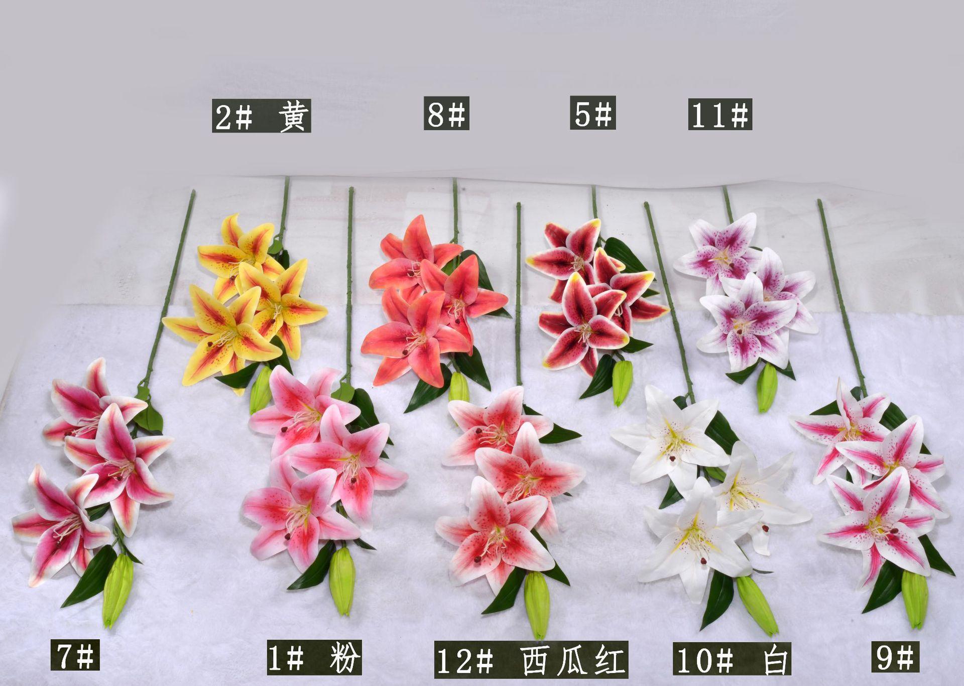 全2.JPG