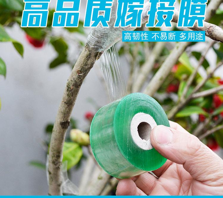 嫁接缠绕膜_05.jpg