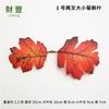 Amazon Explosions Silk Pano Silk Screen Simulação Maple Leaf Halloween Conjunto de Fotografia Decorativa Dois Garfos Multicolorido Maple Leaf