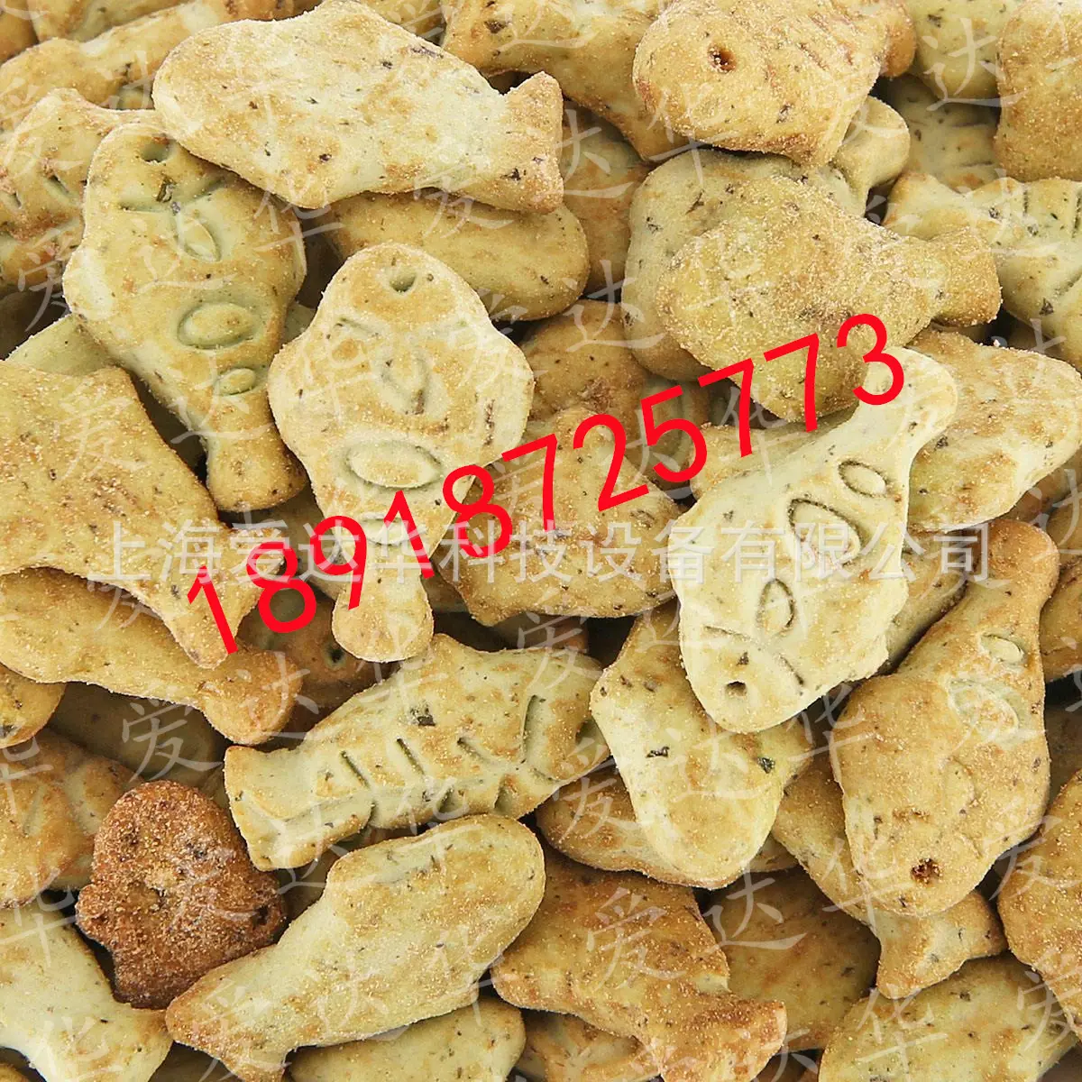 猫饼干1.jpg