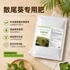 Fertilizante especial para palma areca promueve el ahijamiento, brotan hojas nuevas continuamente, los tallos son gruesos y fuertes, tolerante a la sombra, adecuado para plantas de interior en maceta, crece vigorosamente.