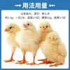 Pó Solúvel de Enrofloxacina Medicamento Veterinário Remédio para Frango Aves Droga Antibacteriana Infecção por Micoplasma Doença Bacteriana