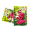 Venta al por mayor de fábrica Semillas de Flores Violetas Flores de Césped Florales de Cuatro Estaciones para Macetas Fáciles de Cultivar Paquete de Colores alrededor de 300 Semillas de Flores