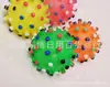 Pelota apuñable con sonido para mascotas/Juguetes con sonido para gatos y perros, Herramientas de entrenamiento para perros, Suministros para mascotas