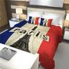 Juego de Cama de Tres Piezas de Venta Caliente Transfronterizo con Imágenes, Tejido Cepillado Ligero de 90g para Exportación
