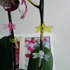Clipe de plástico para jardinagem de orquídea Clipe Phalaenopsis Clipe de suporte para plantas Joia de libélula