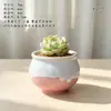 Vaso de Flor Carnuda Cerâmica Jardinagem Cerâmica Mini Novo Criativo Grés Casa Vintage Novo Vaso de Porcelana Vaso