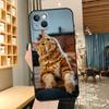 Adecuado para Funda de Teléfono iPhone 17, Nueva Funda de Teléfono para Pareja de Animales Lindo Gato de Comercio Exterior, Funda de Teléfono de Gato