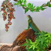 Plantas Reptiles Plantas de Terrario Colgantes Hojas Artificiales Decoraciones de Hábitat con Ventosa Plantas Falsas Verdes y Amarillas para Anfibios para Dragón Barbudo Lagarto Geckos Camaleón
