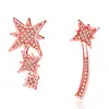 Arete de Estrella de Seis Puntas Estilo Coreano Moda Elegante Largo Incrustado de Diamantes Asimétrico Personalizado para Niña Estrella de Celebridad de Internet